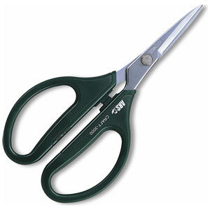 AXR[|[V GNVbN AXk[{[ GC-3000 ͂ nT~ 