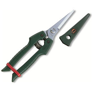 AXR[|[V GNVbN@K[fjO GC-SE-45