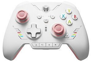 BIGBIG WONirbOrbOEHj /L Q[Rg[[ Windows PC/Switch/iOS/Android Ή RAINBOW 2 SE PinkisNj RAINBOW_2_SE_PINK