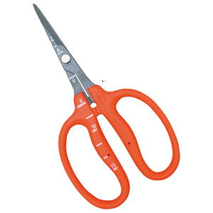 ߐ XeX tbfHԂǂiuX^[pbNj B-500SF