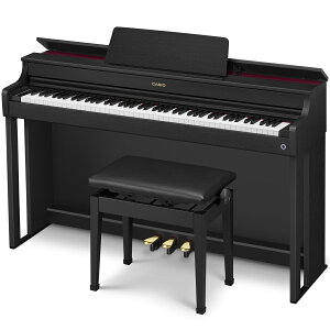 JVI dqsAmiubNEbhjyᎩ݈֎qyWtz AP-300-BK CASIO CELVIANOiZBA[mj CLASSICV[Y