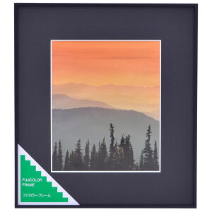 tWJ[ A~z A300 4؁iubNjiOʔ-KXj A~F A300 4 FUJICOLOR