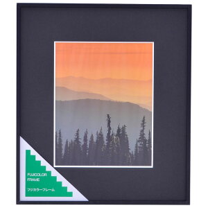 tWJ[ A~z A300 6؁iubNjiOʔ-KXj A~F A300 6 FUJICOLOR