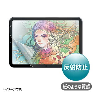 TTvC iPad mini A17 ProΉیtBî悤ȎE˖h~j LCD-IPM21P