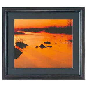 tWJ[ ؐz YM-1 Lrl/2LiubNjiOʔ-KXj NZCF YM-1 K(2L) FUJICOLOR