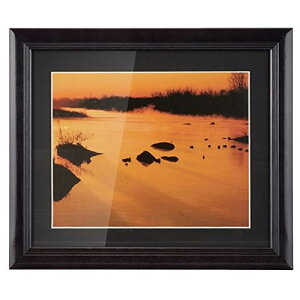 tWJ[ ؐz YM-1 6؁iubNjiOʔ-KXj NZCF YM-1 6 FUJICOLOR