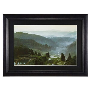 tWJ[ ؐz YM-1 Ch6؁iubNjiOʔ-KXj NZCF YM-1 W6 FUJICOLOR