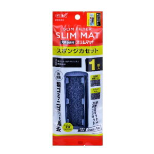 ANAEpi X|WXJZbg 1 GEX WFbNX XtC^-X|WJZcg1R