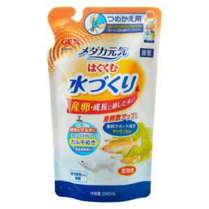 ANAEpi  _JC ͂ސÂ l֗p 240ml GEX WFbNX _JGnON~YJG240