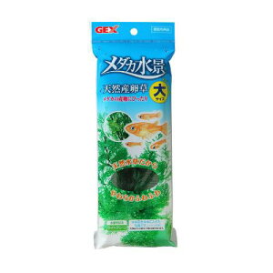 ANAEpi _Ji VRY  GEX WFbNX _JelTNT_C