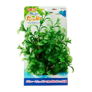 ANAEpi i Ղ nCOtB GEX WFbNX CVXCPC^cvnCOtC