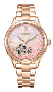 V`Y yKizV`YRNV@I[vn[g@胂f i芪j@fB[X^Cv PC1017-88Y [PC101788Y]yԕiAz