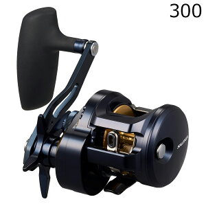 _C 25 \eBK 300 Enh 25\eBK300 DAIWA 25 SALTIGA IC WMO[