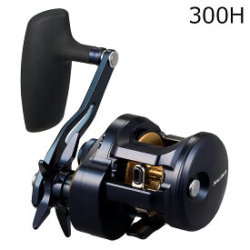 25ソルティガ300H ダイワ 25 ソルティガ 300H 右ハンドル DAIWA 25 SALTIGA IC ジギングリール