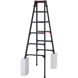 JH rLkA~͂pr VK} ubN RYRLB^ 6i[iƓws][J[i(ꌧE͂ΏۊO) RYRLB-18 Hasegawa