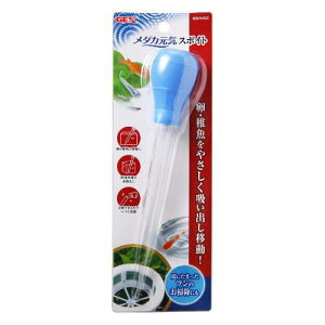 ANAEpi _JC X|Cg GEX WFbNX _JQL X|Cg