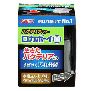 ANAEpi J{[CM oNeAp[ GEX WFbNX J{-CM oNeAp-