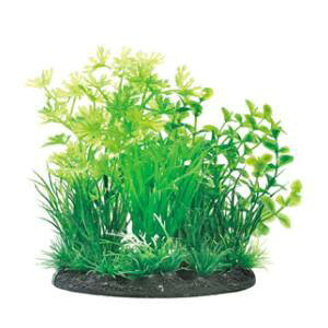 ANAEpi i MIXvc L ^ GEX WFbNX CVXCPCMIXvcL^