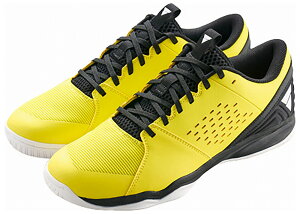 BN^X 싅V[Y gCAGHuViCO[ETCYF26.5cmj TSP-552501-4200-26.5 VICTAS