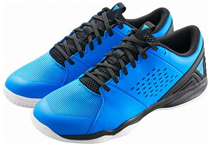 BN^X 싅V[Y gCAGHuViu[ETCYF24.0cmj TSP-552501-5000-24.0 VICTAS