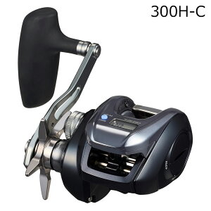 _C 25 eBG IC 300H-C (Enh) 25eBGIC300H-C DAIWA 25TIERRA IC