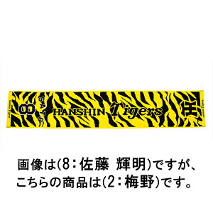 ~Ym y_^CK[XFzWK[h}t[^Ii2F~ Yj 12JRXTB602F y_^CK[Xz@MIZUNO@2025N