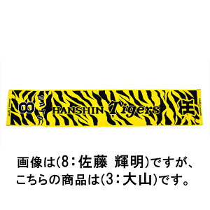 �~�Y�m �y��_�^�C�K�[�X���F�z�����W���K�[�h�}�t���[�^�I���i3�F��R �I��j 12JRXTB603F �y��_�^�C�K�[�X�z�@MIZUNO�@2025�N