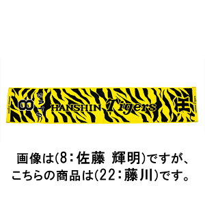 ~Ym y_^CK[XFzWK[h}t[^Ii22F j 12JRXTB622F y_^CK[Xz@MIZUNO@2025N