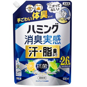 n~OL EL^Cv NAVgX ߂p 930ml ԉ n~OSJAZVgXXp930M