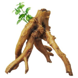 ANAEpi i t u` GEX WFbNX ~YNTcLE{Nu`