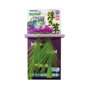 ANAEpi gK[f  sN }J gK-fELOT(sN)