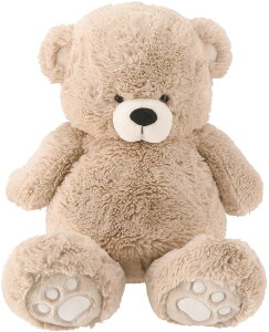 sf ʂ  50cmix[Wj 19553 [19553tW{EGL]