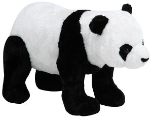 sf ʂ p_ 47304 [47304tW{EGL]