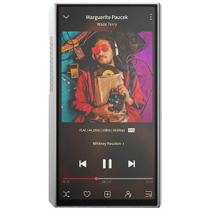 tB[I fW^I[fBIv[[ FIO-M11PLES-SS FiiO M11 Plus ESS Stainless Steel