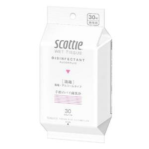 XRbeB EFbgeBV[  30 {NVA XRceCEGcgVEhN30P