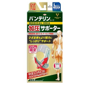 oeR[T|[^[Ђp zCg LTCY 傫߁iEpE1j a VT|JAcqUReCVL