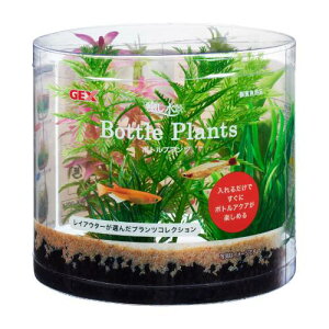 ANAEpi i {gvc ~ItB GEX WFbNX {gvc~ItC