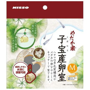 _Jpi ߂ qY M jb\[ _JR_JTVcM