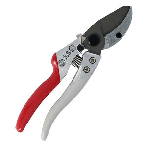 g ₷؂₷} SGP-60 Y