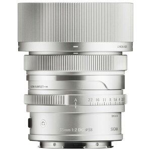 �V�O�} 35mm F2 DG�i�V���o�[�j AF35MMF2DGSL ��L�}�E���g
