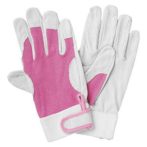 gXRR }WbNv܁@STCY TYK129S