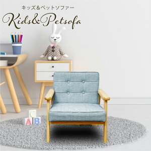 㓡ƋY 1l|ybg\t@[ u[ PSO-EMRA-1P-BL [PSOEMRA1PBL]