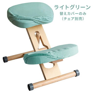 {쏊 v|[V`FApւJo[ ʂƕG2ZbgiCgO[j CV-N8W_LGR MIYATAKE [CVN8WLGR]