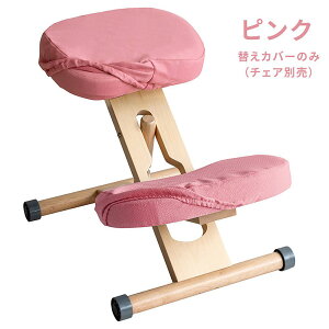 {쏊 v|[V`FApւJo[ ʂƕG2ZbgisNj CV-N8W_PK MIYATAKE [CVN8WPK]