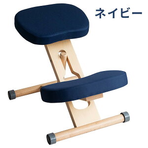 {쏊 v|[V`FAii`lCr[j CH-N88W_NTNV MIYATAKE [CHN88WNTNV]