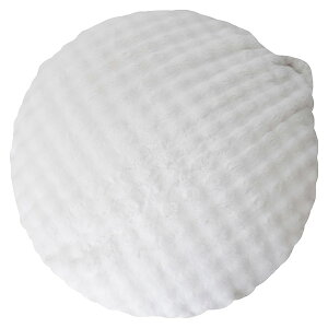 {쏊 ӂƂr[YNbV\t@ Foure[t[]izCgj CN-1350_WH MIYATAKE [CN1350WH]