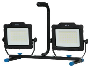i RZgLED^ 50W×2@10000[ DFL-A50W Ort@DAISHIN [DFLA50W]