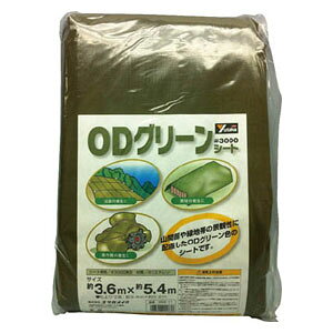 ^JCN 3000ODO[V[g@3.6mx5.4m OGS11