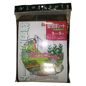 L{V ͖hV[giRۍܓj 7006