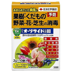 TPC@I[\TCha80i2g×10ܓj KINCHO| TPCI-\TChXCUC80